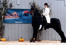 Storm & Jen